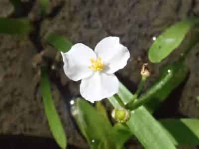 P8310068