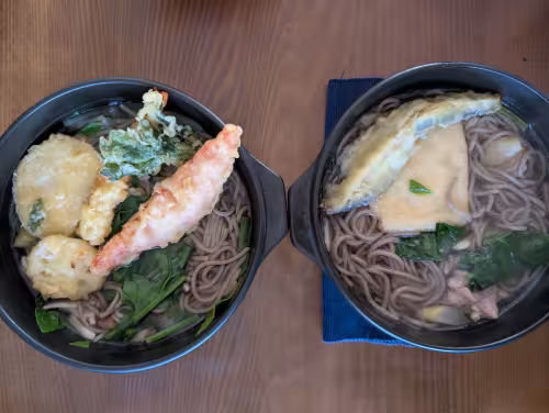 PXL_20260217_035014603~2