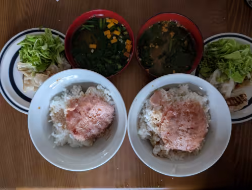 PXL_20260415_032643790~2