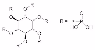 Phytic_acid_sketch_map