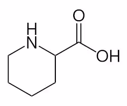 Structural_formula_of_pipecolic_acid
