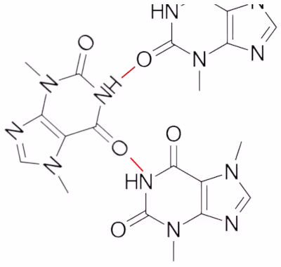 Theobromine_intermolecular_hydrogen_bond