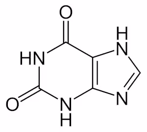 Xanthin_-_Xanthine