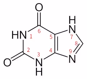 Xanthin_-_Xanthine_numbering