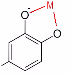 catechol_chelate
