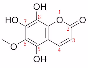 sideretin_numbering