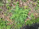 P5040408