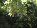 P5040416