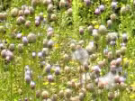 P5070496