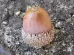PA060140