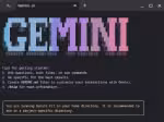 gemini_cli_0