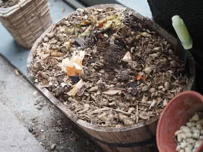 ラッカセイの殻を土にすばやく還したい Saitodev Co