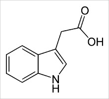 Indol-3-ylacetic_acid