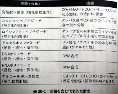 元素118の新知識から金属酵素の働きを知る Saitodev Co